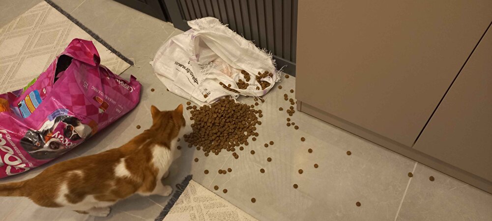 patlak gelmeseydi daha iyiydi