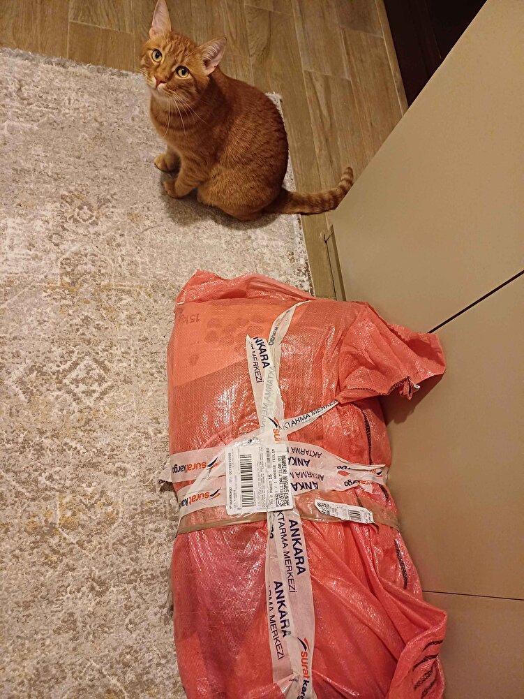 Çok güzel paketlenmiş ve severek yedikleri bir mama.