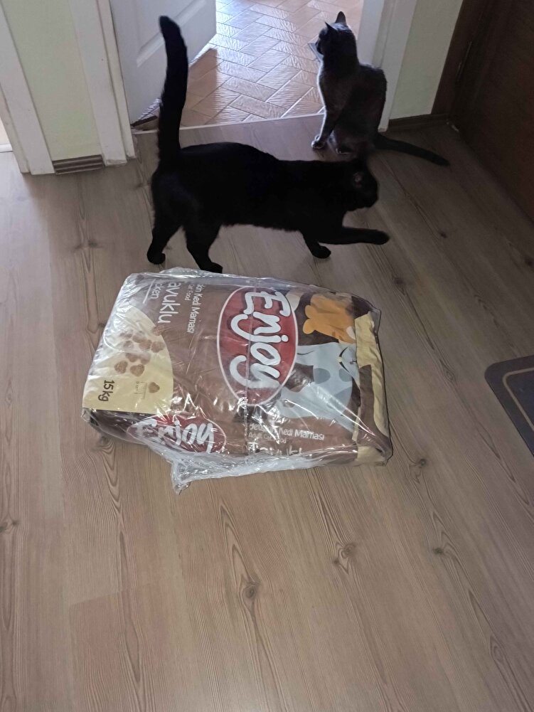 Herzaman aldığım bir mama  kısa zamanda geldi teşekkürler