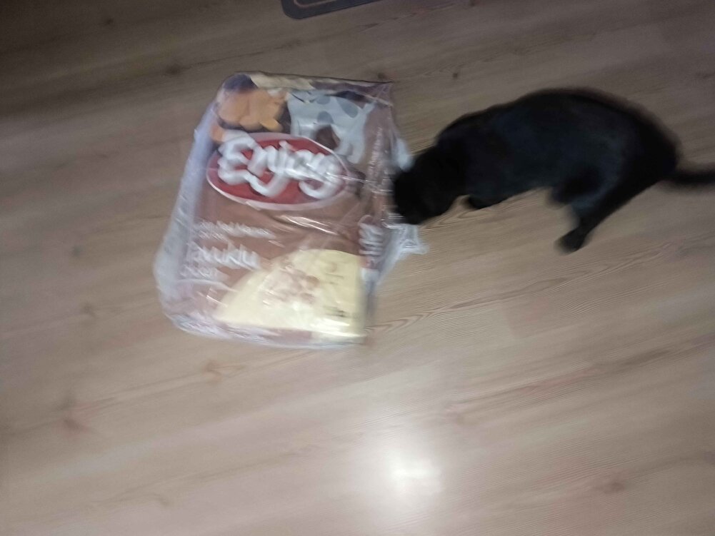 Herzaman aldığım bir mama  kısa zamanda geldi teşekkürler