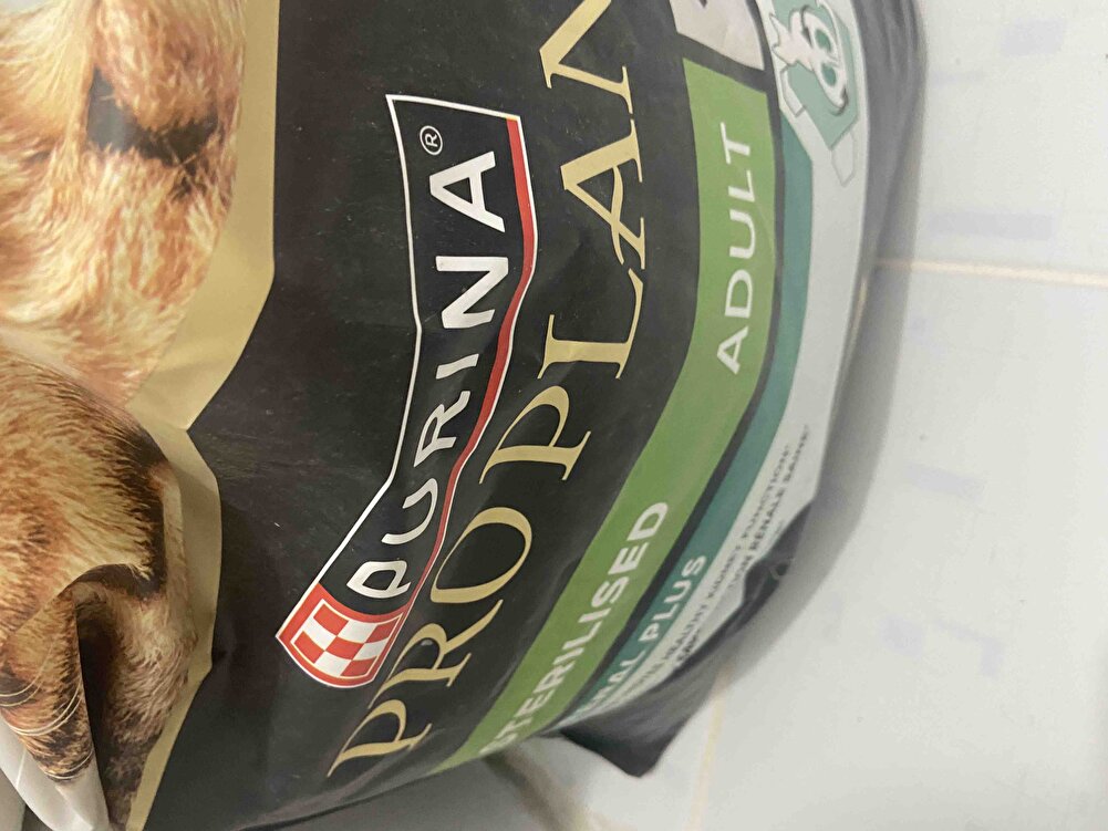 Çocuklarım severek yedi