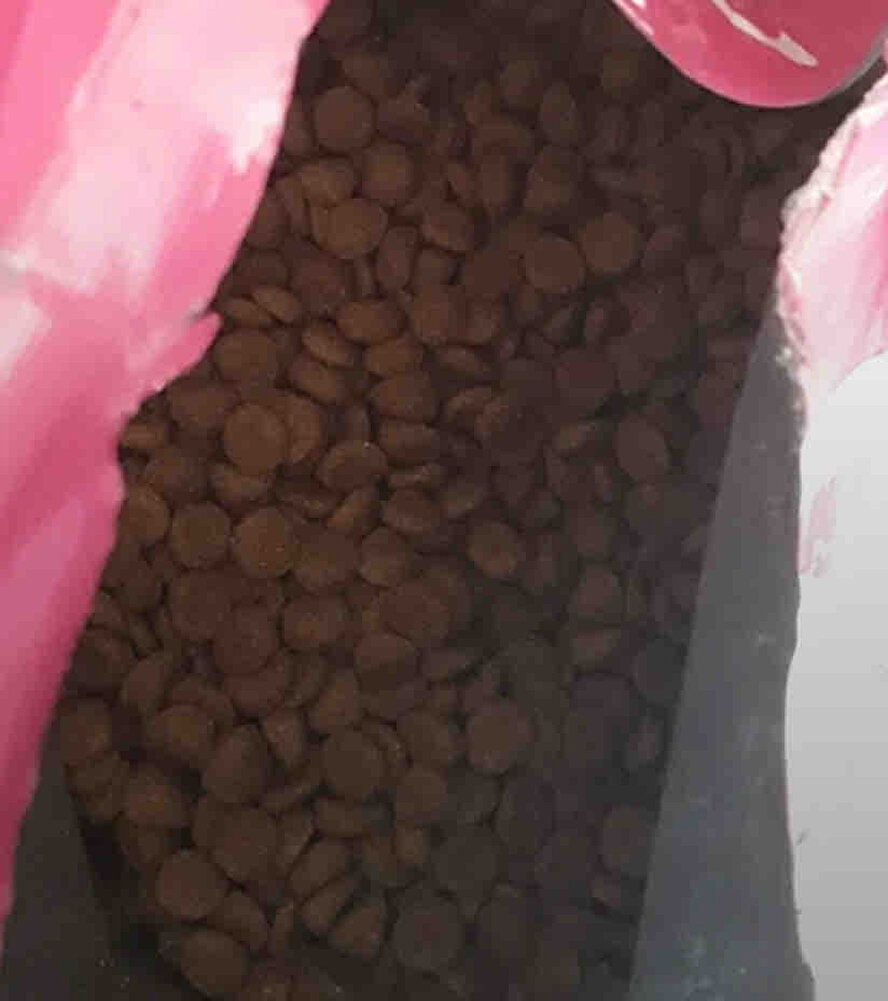 Sokak canları için alındı, teşekkürler.