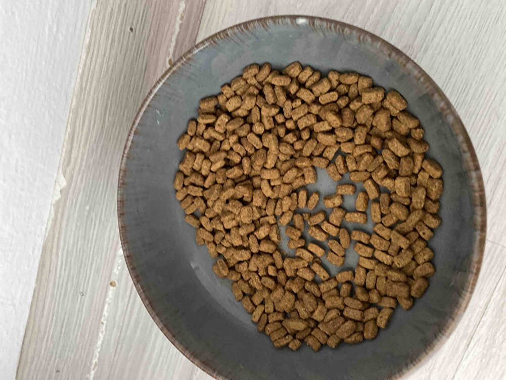 Oğluşum çok seviyor