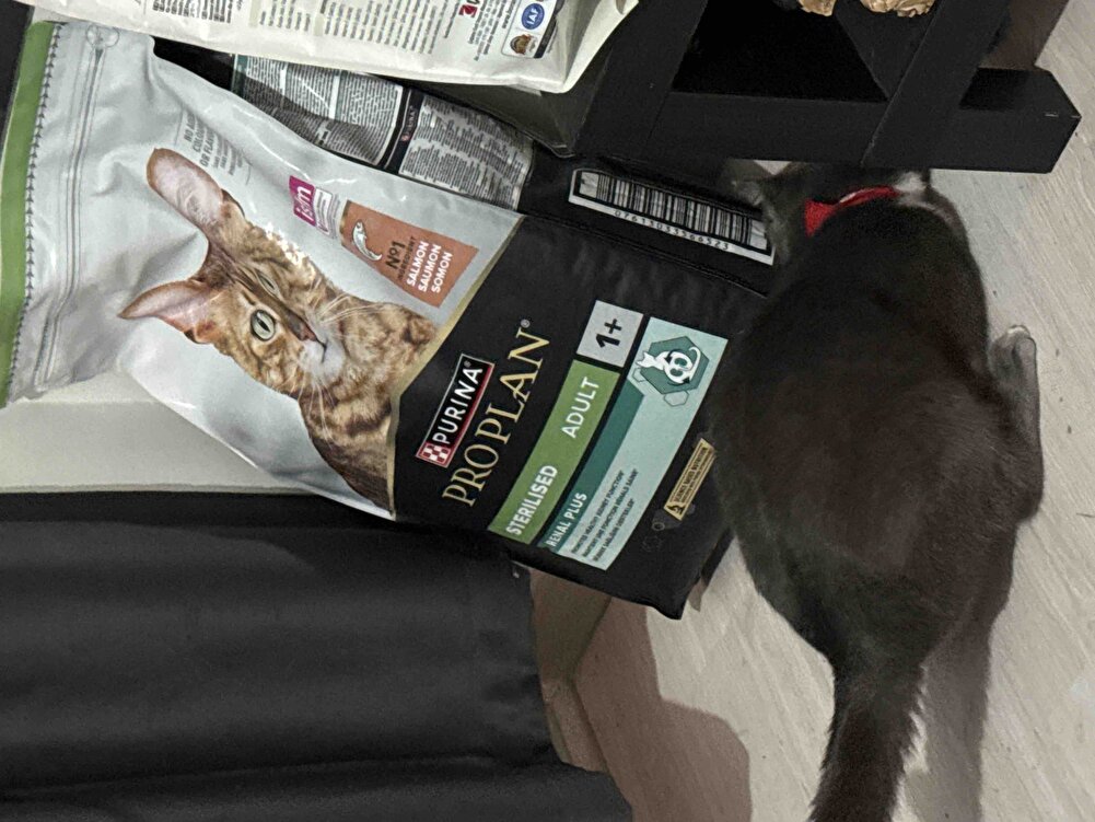 Karton kutuda korunaklı geldi , güvenle alabilirsiniz . Kedimin çok sevdiğini de görebilirsiniz 😁