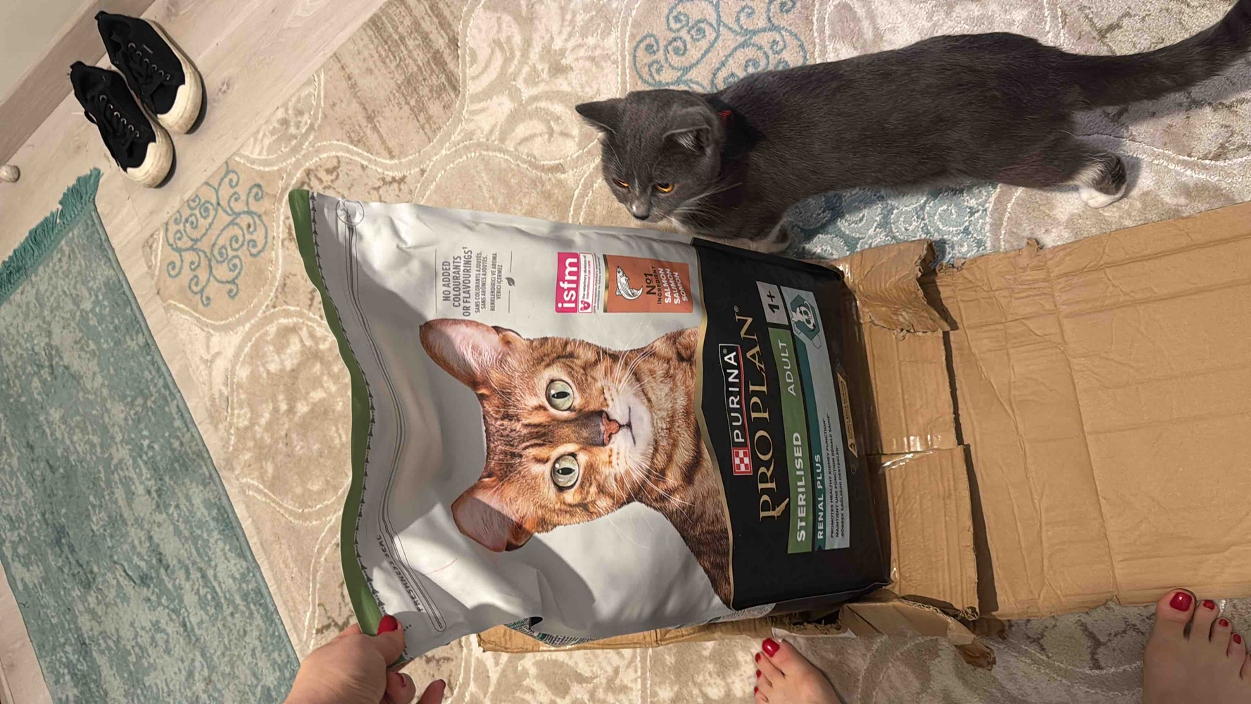 Karton kutuda korunaklı geldi , güvenle alabilirsiniz . Kedimin çok sevdiğini de görebilirsiniz 😁