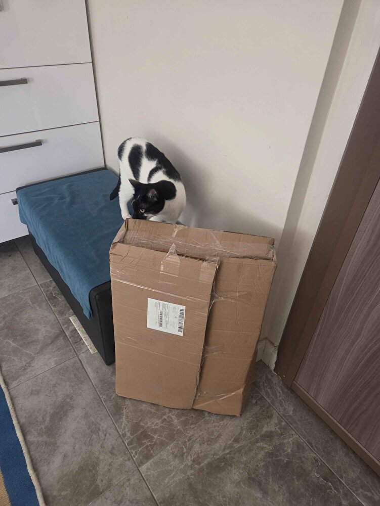 Uzun yaşayan kedileri olan hangi tanıdığıma sorduysam yıllardır bu mamayı kullanıyoruz dediler.  Bende 3 kedim için denemeye karar verdim. peketi açar açmaz yemeye başladılar, daha önce aldığım farklı bir marka mamanın yüzüne bakmıyorlar.çok güzel paketlenmiş ve son kullanma tarihi uzun olan bir ürün geldi. çok teşekkür ederim satıcıya ve trendyola.