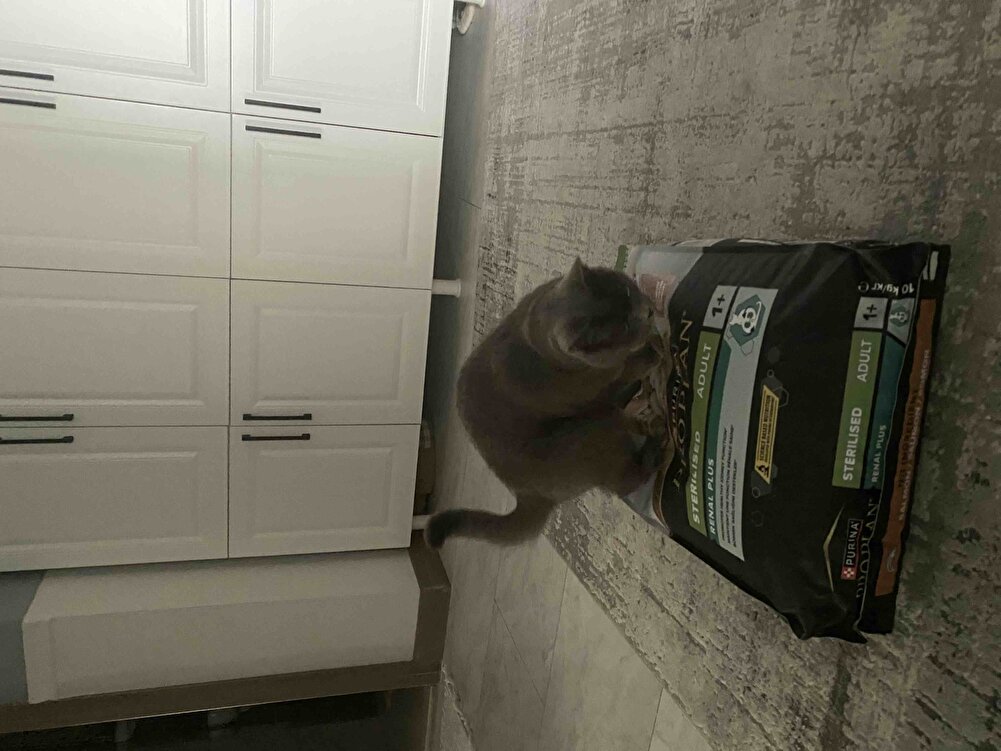 Kızım çok heyecanlandı severek kullanıyoruz. 😊🌸