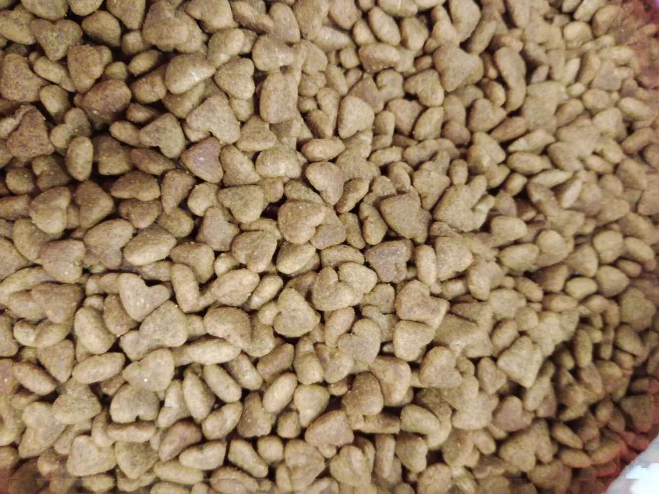 Ürünüm elime ulaştı. Ambalaj sağlam çuval içinde sıkıntısız elime ulaştı. Sokak canları için aldım. ikram ettim beğenerek yediler 👏 teşekkür ederim kolay gelsin 👍🏾