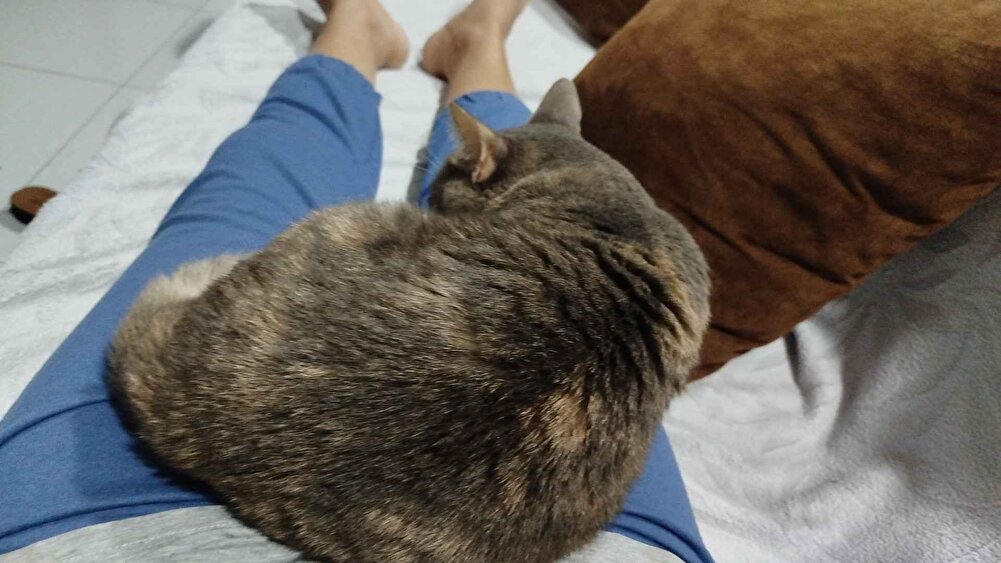 çok iyi harika 😀