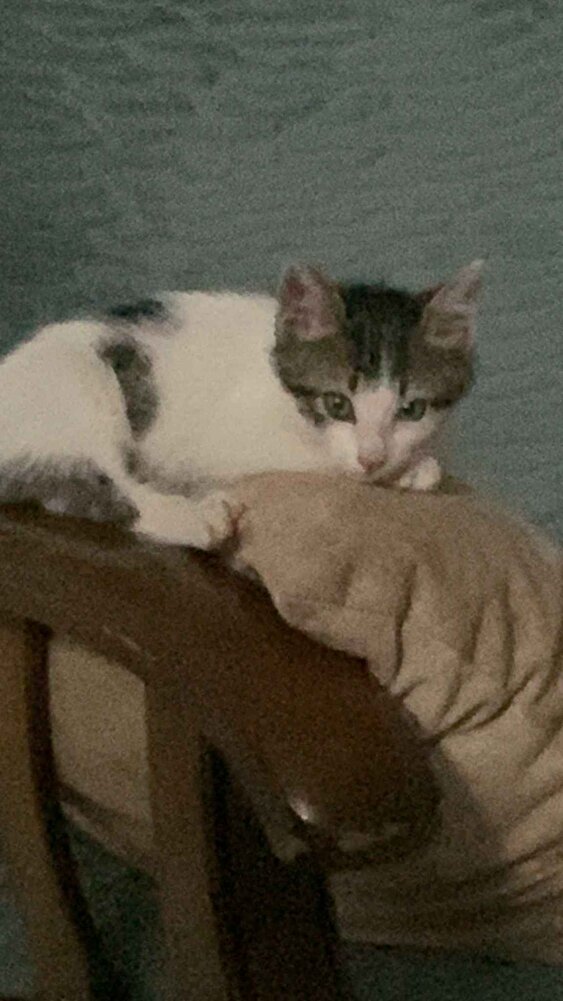 çok iyi harika 😀