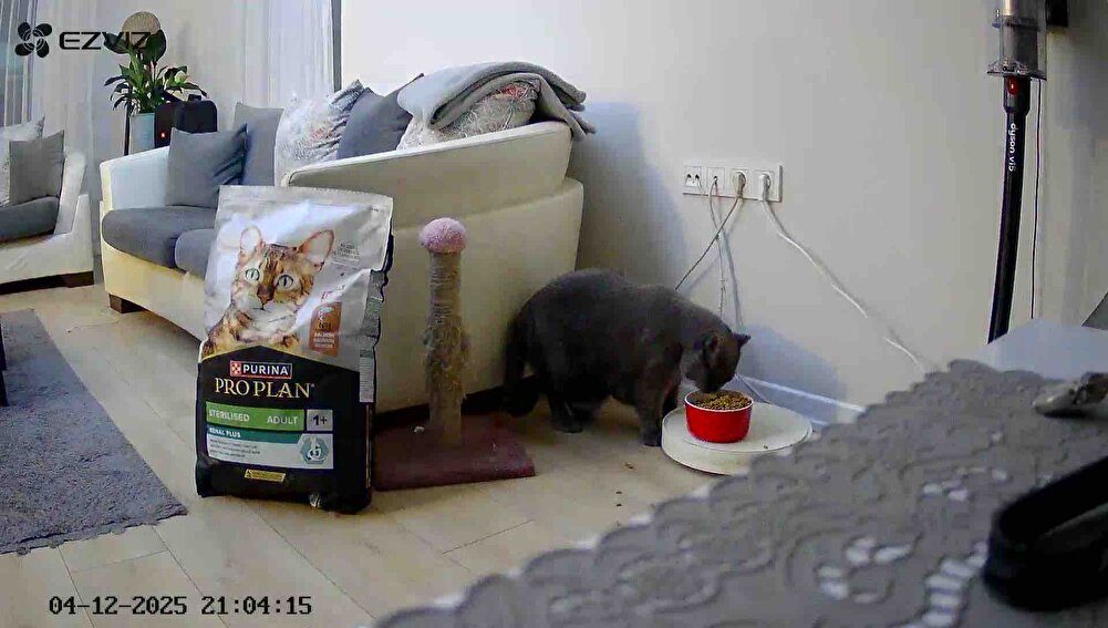 Ennn sevdıgımız. Cok da uyguna geldı. Tesekkurler