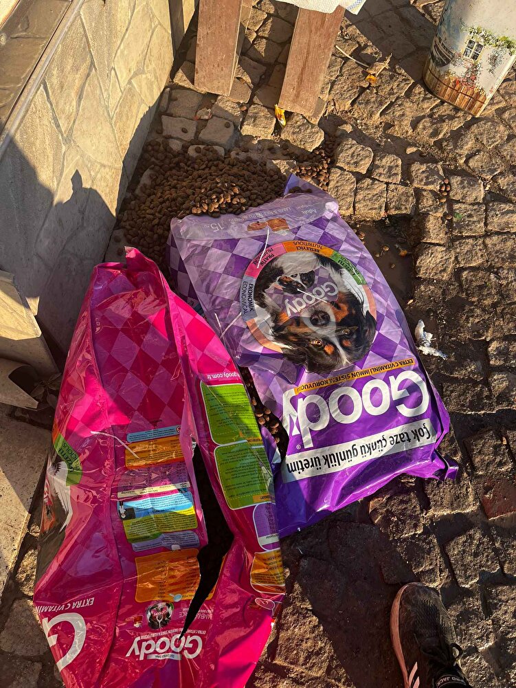 ürünler için teşekkürler sokak hayvanları için aldim ama paketler yırtık geldi benkm tepkimi cok ciddiye almadilar kargo firmasını uyanırsınız çok sevinirim