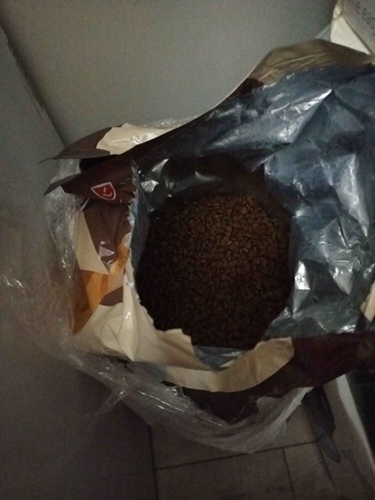 güzel pati beğendi