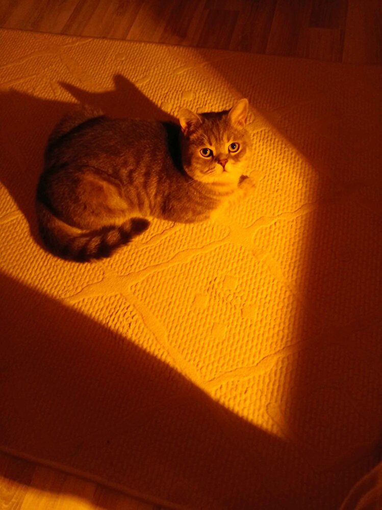 oğlum çok beğendi