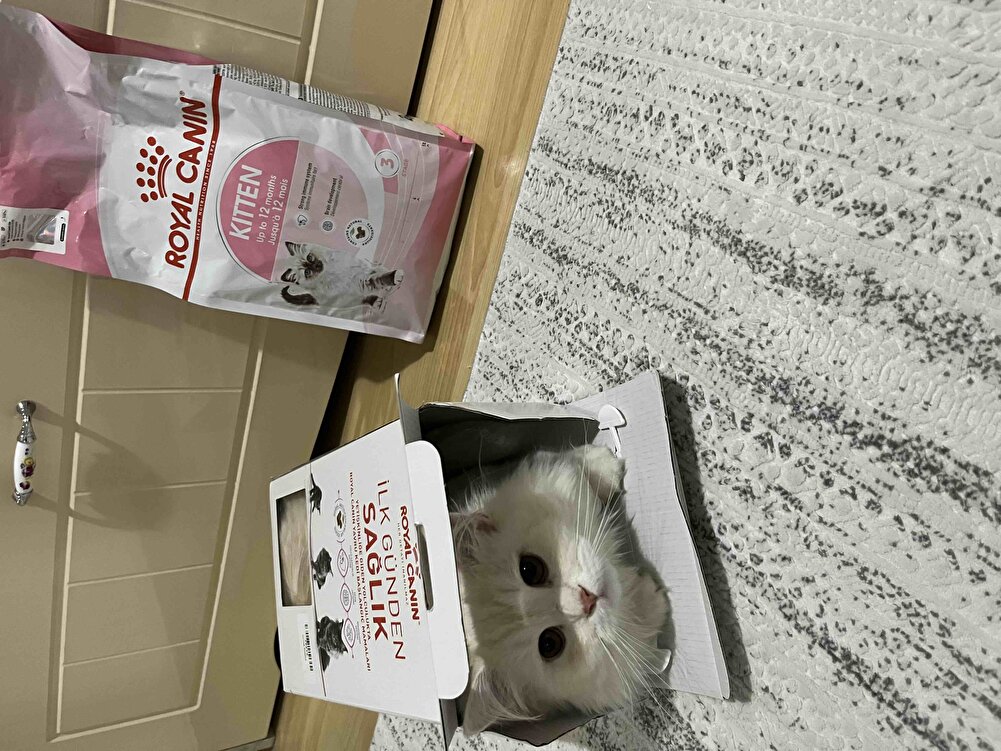 Hep kullandığımız bi ürün.kedimiz severek yiyor. yalnız kutuda yazdığı gibi hediye mama gönderilmesini isterdim.