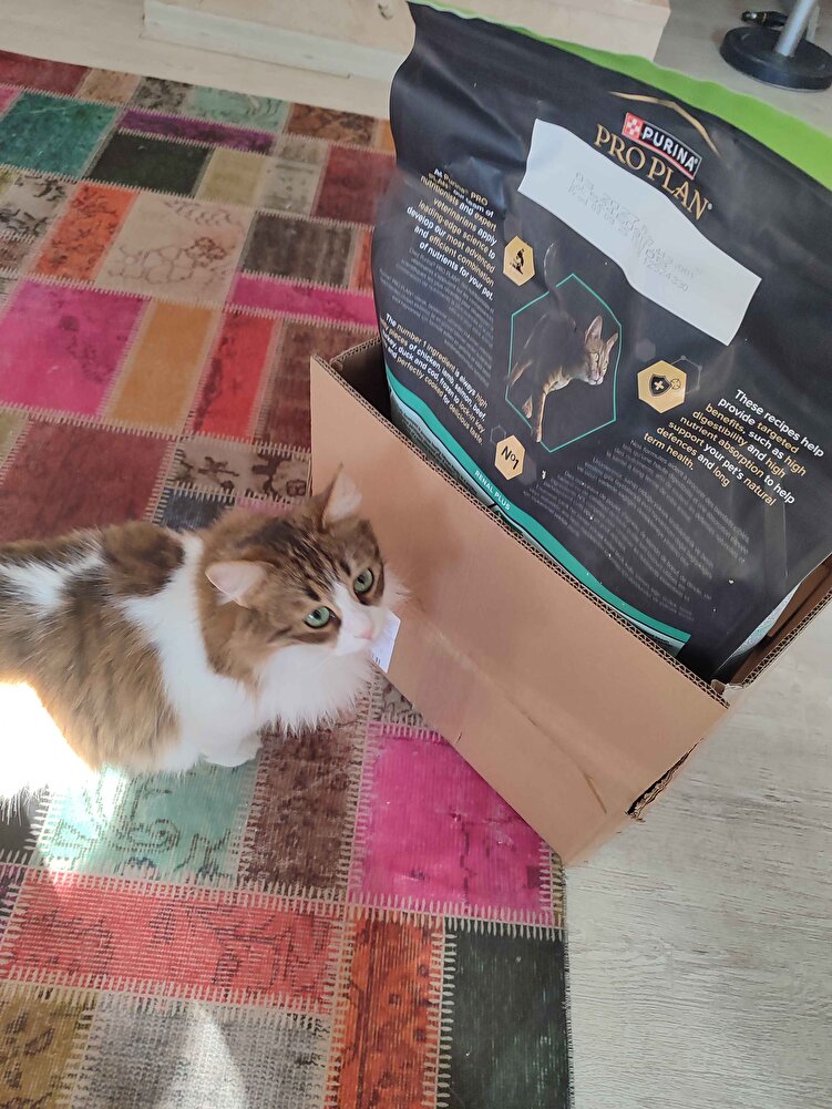 evdeki 4 kedim için alıyorum severek yiyorlar