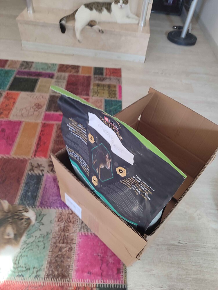 evdeki 4 kedim için alıyorum severek yiyorlar