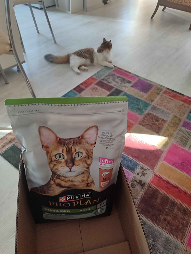 evdeki 4 kedim için alıyorum severek yiyorlar