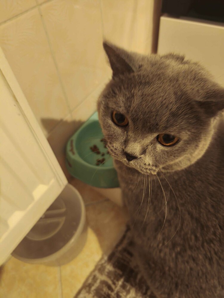 oğlum severek yiyor