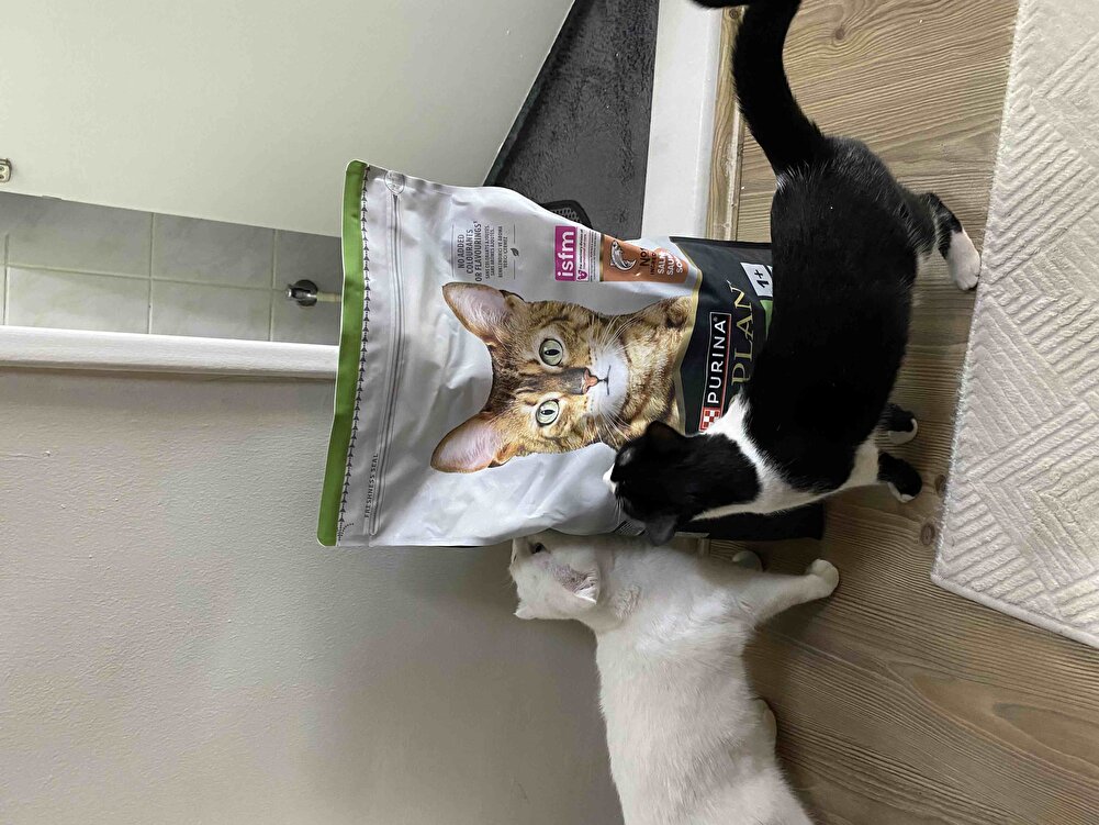 Paketleme çok güzeldi. Bir günde teslim edildi. Teşekkür ederm