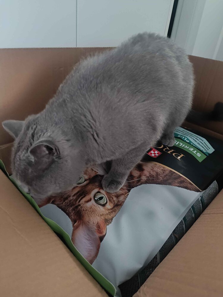 gayet iyi memnun kaldım paketlemesi çok güzel sapasağlam geldi 🌸🐈‍⬛🐾