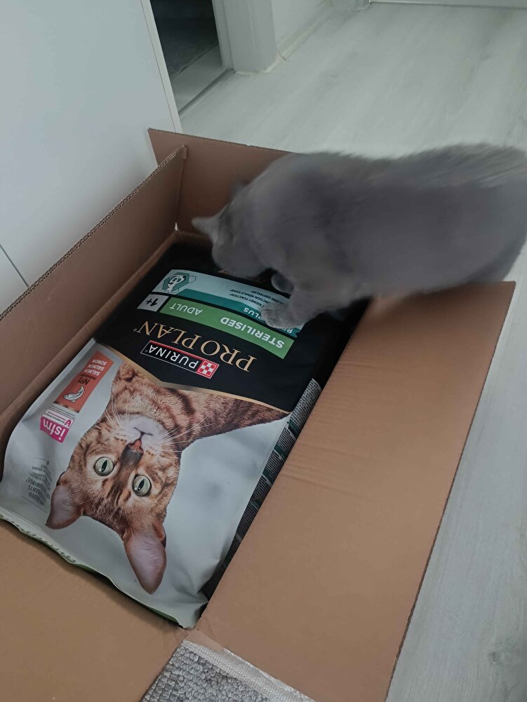 gayet iyi memnun kaldım paketlemesi çok güzel sapasağlam geldi 🌸🐈‍⬛🐾