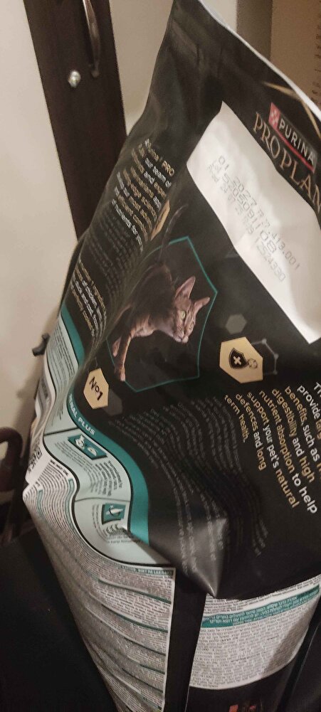 iki kedim var british severek yiyorlar