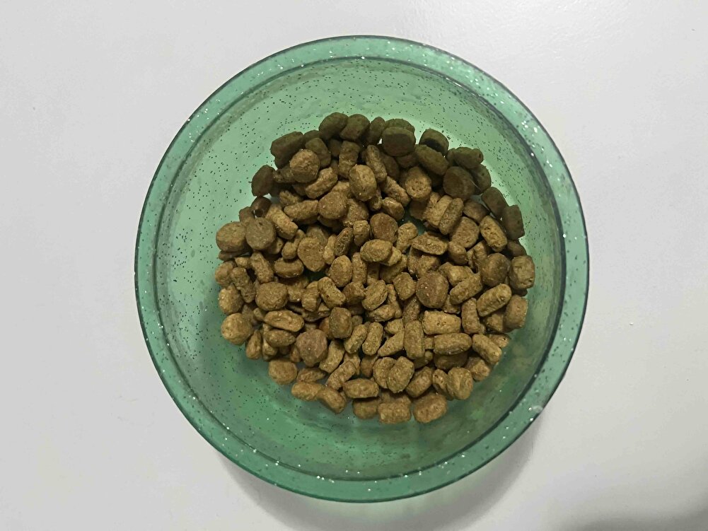 İlk defa aldım bu mamayı daha öncede aynı markanın yetişkinler için somonlusunu kullanıyordum. Karıştırarak veriyorum kedim sevdi