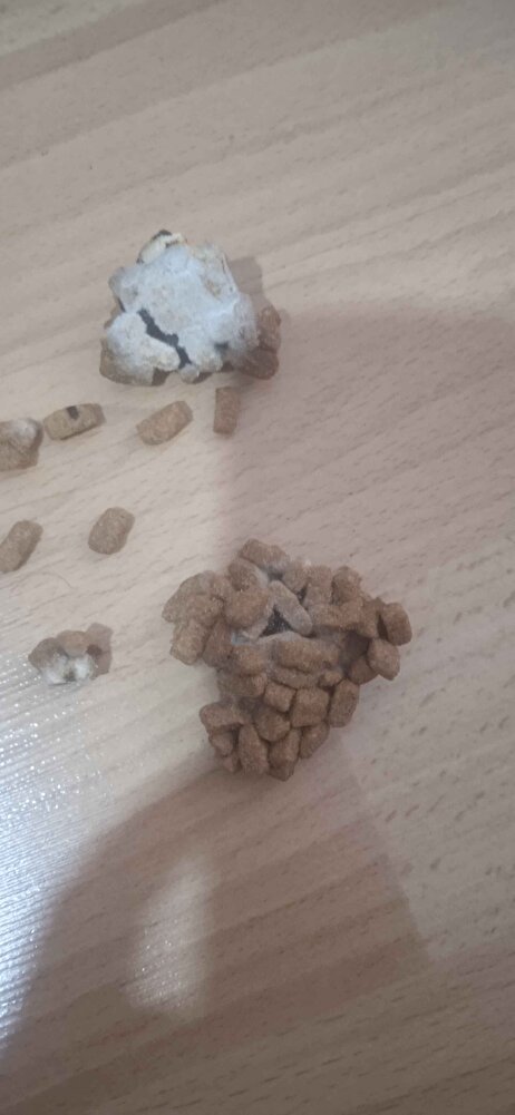 Aldigim mamadan kuflu mamalar cikti aciken maduriyetimi karsilayin yoksa yasal haklarimi kullanacagim okadar para verip kuflu mama yedirelim kedimize diue vermkyoruyoruz cevap acilen donulsun