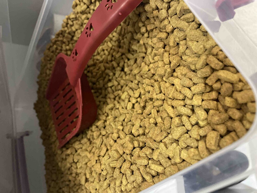 Güzel bir mama kedim severek yiyor