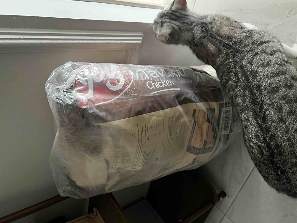 Ürün sorunsuz elime ulaştı yırtık felan yoktu paketi açmadım açtıktan sonra güncelleme yaparım