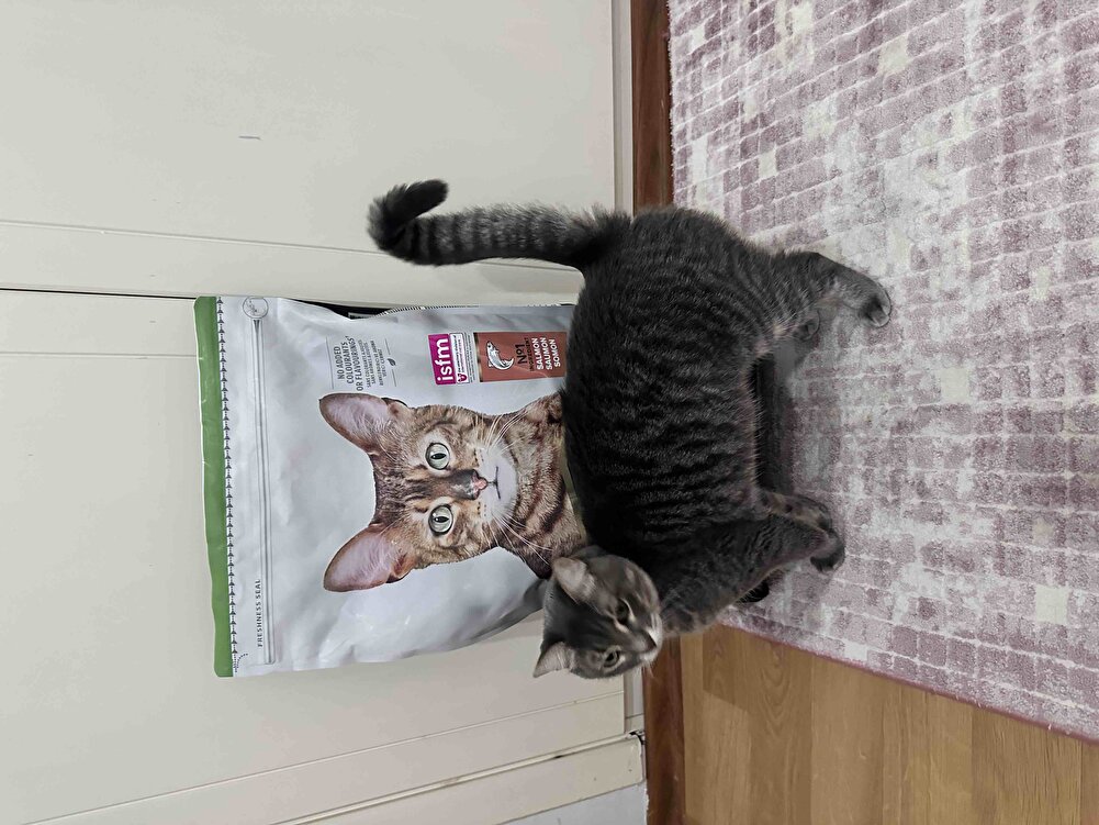 ürünüm  sorunsuz bir şekilde elime ulaştı paketlemesi güzeldi yıllardır kullandığım marka bebişlerimin severek tükettiği çok teşekkür ederim kolay gelsin