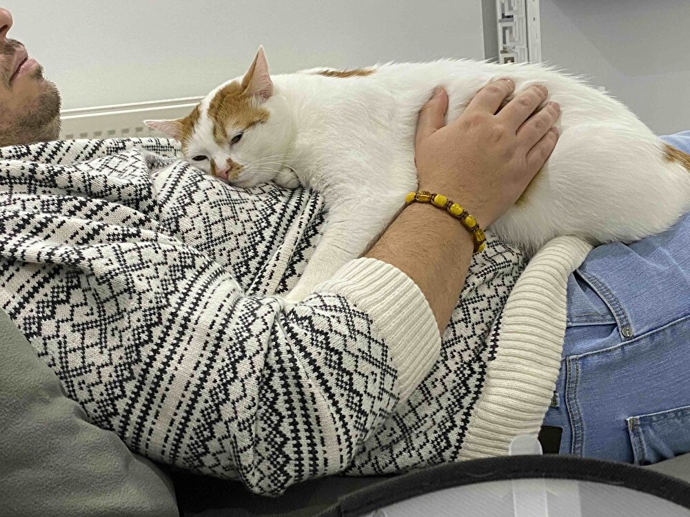 Sakın almayın bu mamadan kedim oldu veteriner dedi keşke bu mamayı almasaydın 😭😭😭😭😭😭biz iyi mama alıyoruz düşündük oldü kuzum bu mama yüzünden 😭😭😭😭😭😭😭😭😭Haslamış tavuk et balık tuzsuz şekersiz baharatsız en sağlıklı bukadar para zehire verecenize sağlıklı mama verin çocuklarınıza inanın daha ucuza cikar maliyet kıymetini bilin onlarda bi tek sız varsınız bütün dünya sizsınız bunu unutmayın lütfen 😭😭😭😭😭