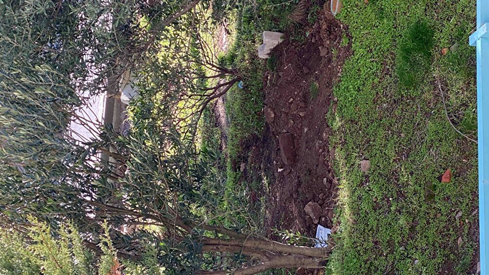 Sakın almayın bu mamadan kedim oldu veteriner dedi keşke bu mamayı almasaydın 😭😭😭😭😭😭biz iyi mama alıyoruz düşündük oldü kuzum bu mama yüzünden 😭😭😭😭😭😭😭😭😭Haslamış tavuk et balık tuzsuz şekersiz baharatsız en sağlıklı bukadar para zehire verecenize sağlıklı mama verin çocuklarınıza inanın daha ucuza cikar maliyet kıymetini bilin onlarda bi tek sız varsınız bütün dünya sizsınız bunu unutmayın lütfen 😭😭😭😭😭