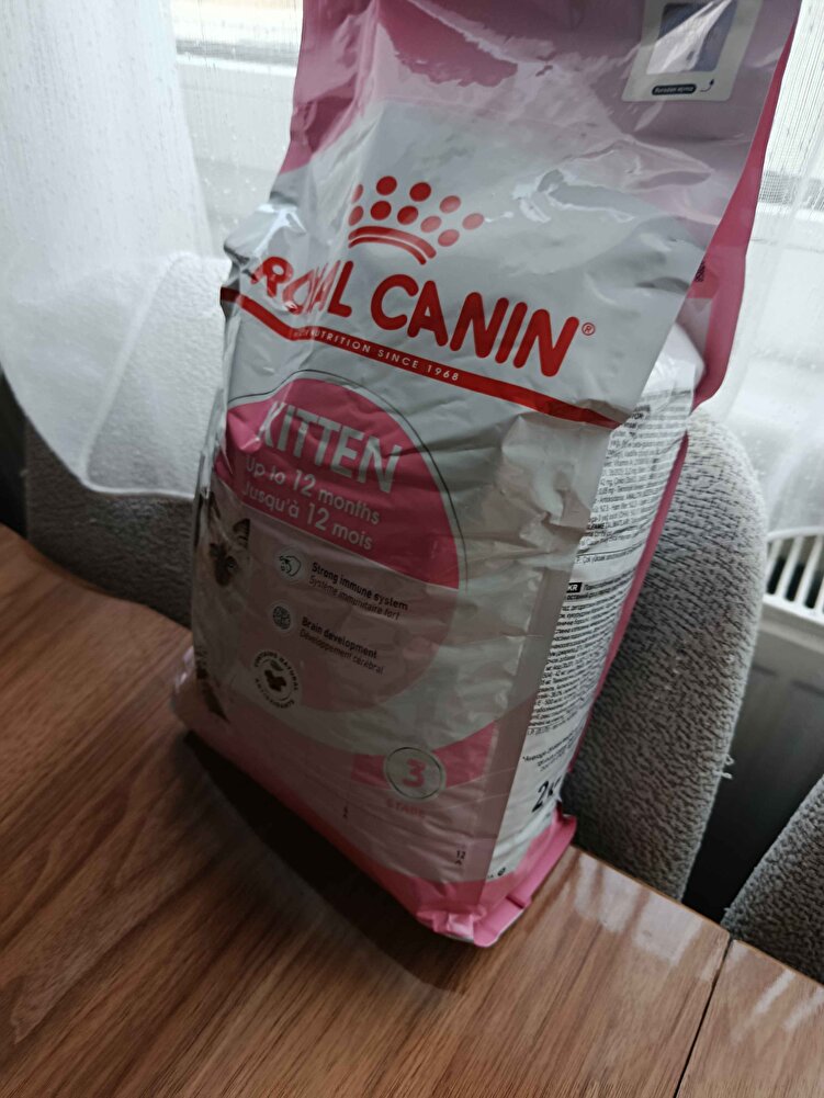 gerçekten kaliteli konuşuyor kedim çok sevdi