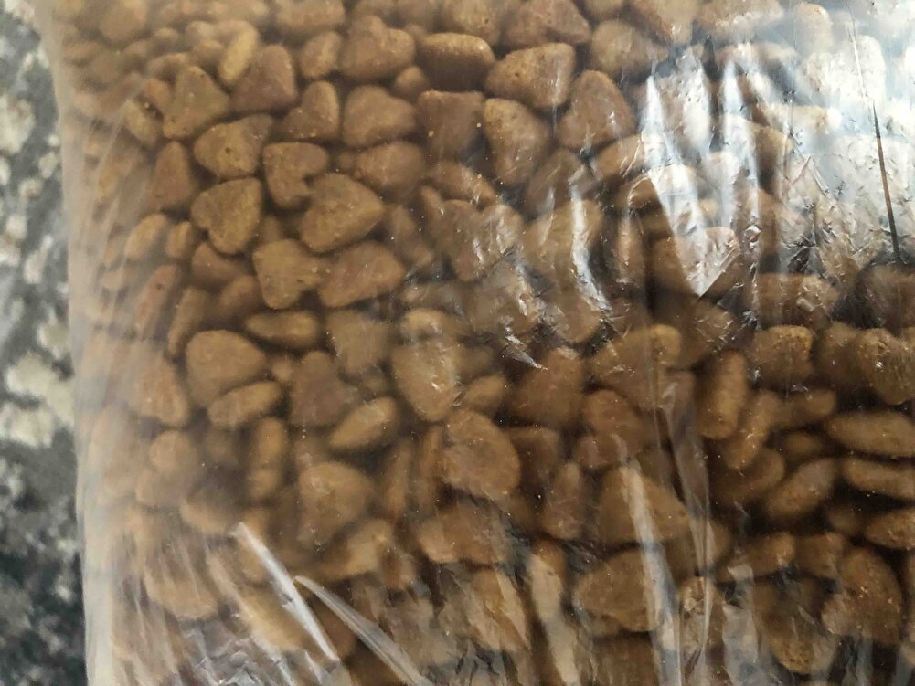 Çok güzel mama sokaktaki kediler severek yiyorlar