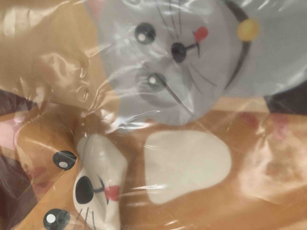 Çok güzel mama sokaktaki kediler severek yiyorlar