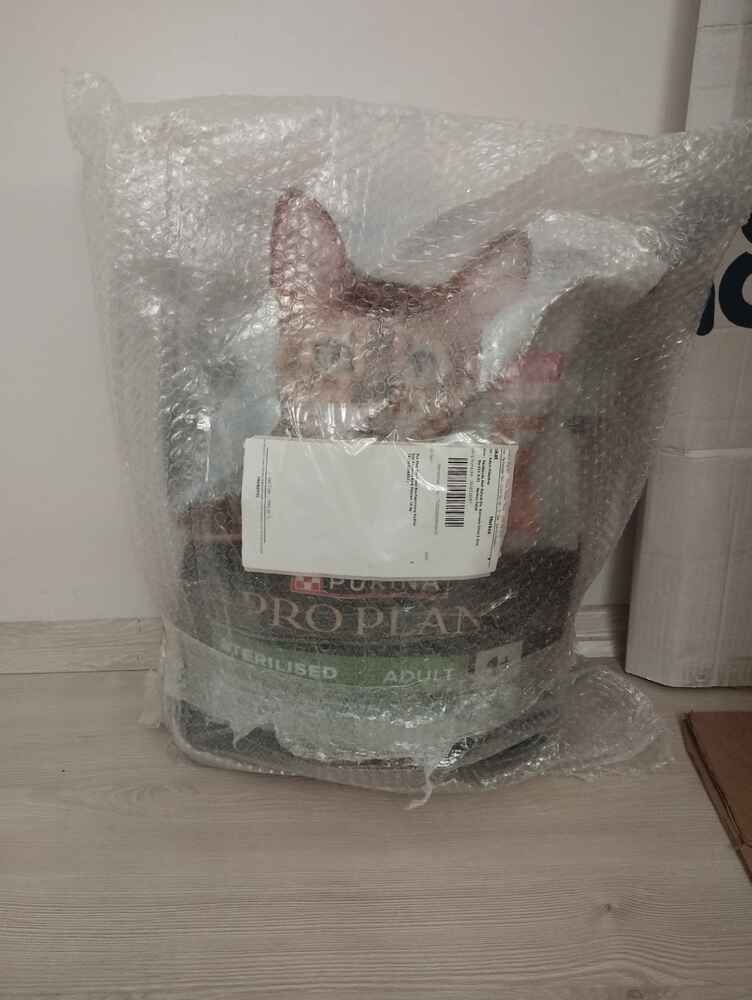 patpat poşete sarılı ve sağlam olarak geldi. son tüketim tarihi 06.2027 sorunsuz hızlı güvenilir