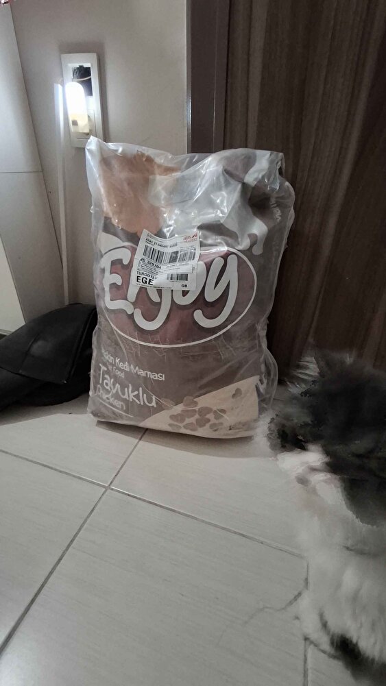 Sokaktaki Evlatlarima Her Zaman Aldığım Mama.Bu Satıcıdan ilk Defa Aldım Tazecik.Paketlemeside Çok Iyi Çok Teşekkürler Emeğinize Sağlık. Bol Satışlarınız Olsun.👍🥰