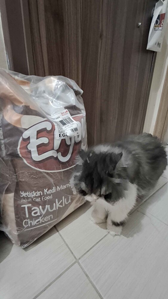 Sokaktaki Evlatlarima Her Zaman Aldığım Mama.Bu Satıcıdan ilk Defa Aldım Tazecik.Paketlemeside Çok Iyi Çok Teşekkürler Emeğinize Sağlık. Bol Satışlarınız Olsun.👍🥰