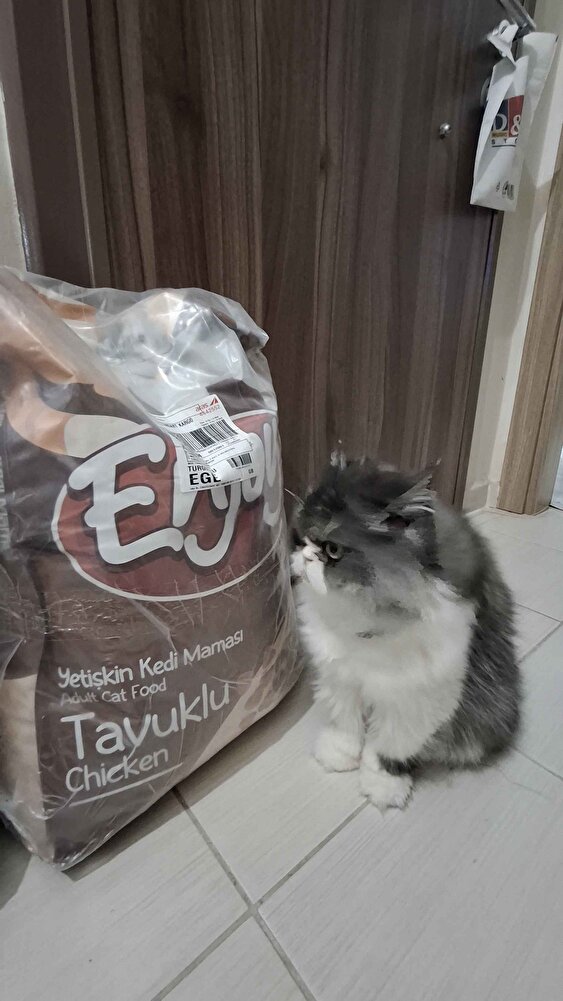 Sokaktaki Evlatlarima Her Zaman Aldığım Mama.Bu Satıcıdan ilk Defa Aldım Tazecik.Paketlemeside Çok Iyi Çok Teşekkürler Emeğinize Sağlık. Bol Satışlarınız Olsun.👍🥰