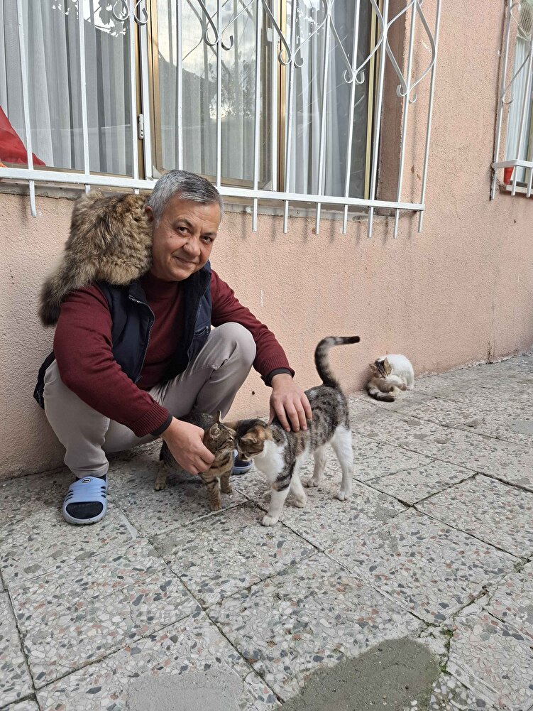 Ürünü çok beğendiler tüylü dostlarım