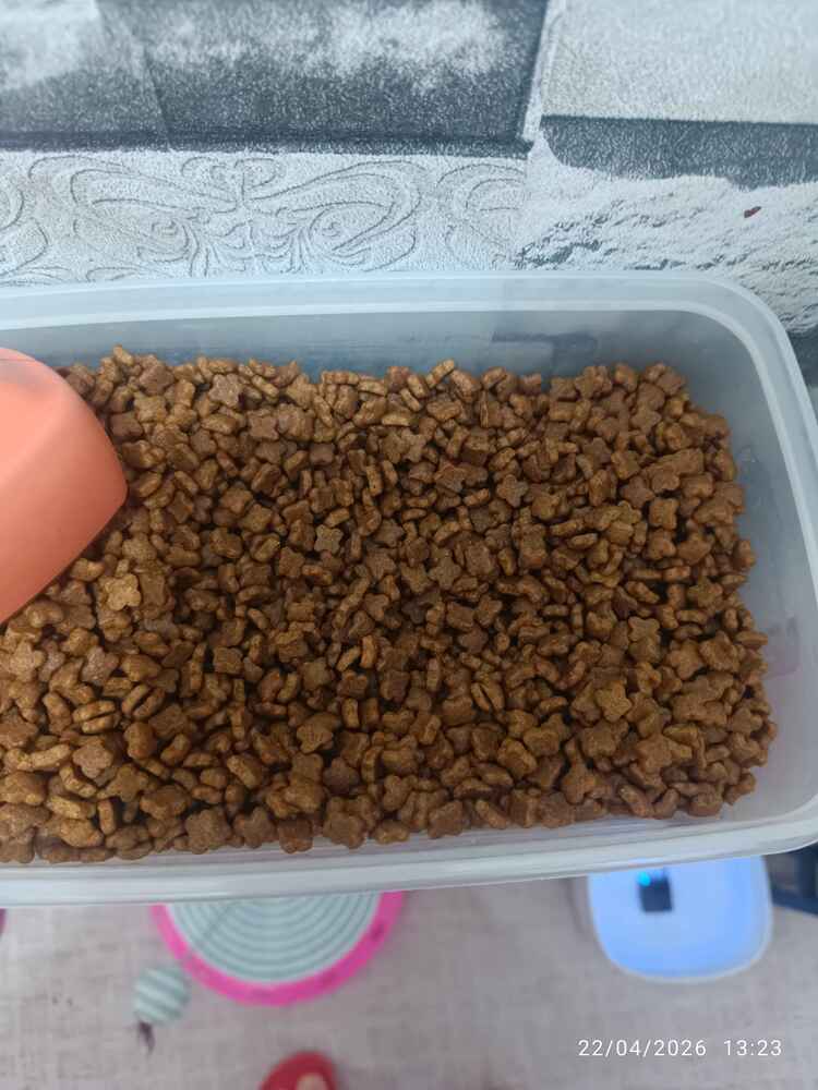 ürün kaliteli orijinal gelir gelmez açtım kedime verdim bütün hepsini yedi ve hemen birgunde geldi kargo teşekkür ederim