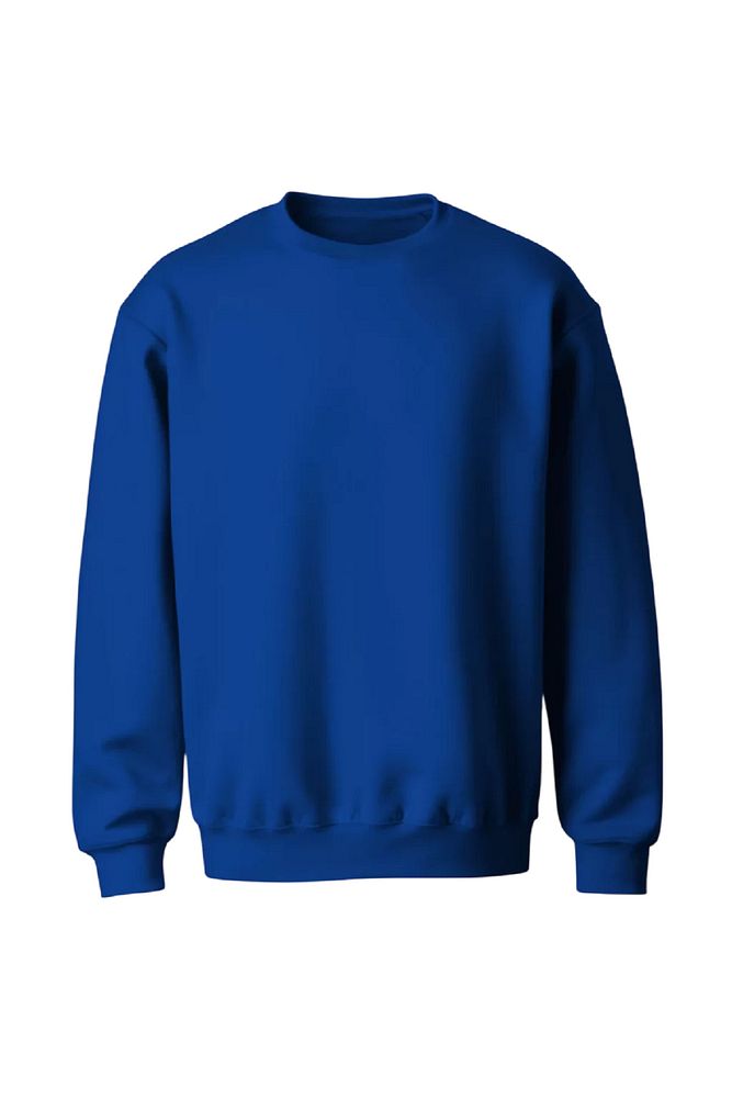 Rodi Jeans Erkek Bisiklet Yaka Relax Fit Kalıp 2 iplik Mevsimlik Baskısız İnce Sweatshirt