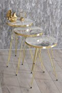 Zigon Sehpa Gold Efes Tel