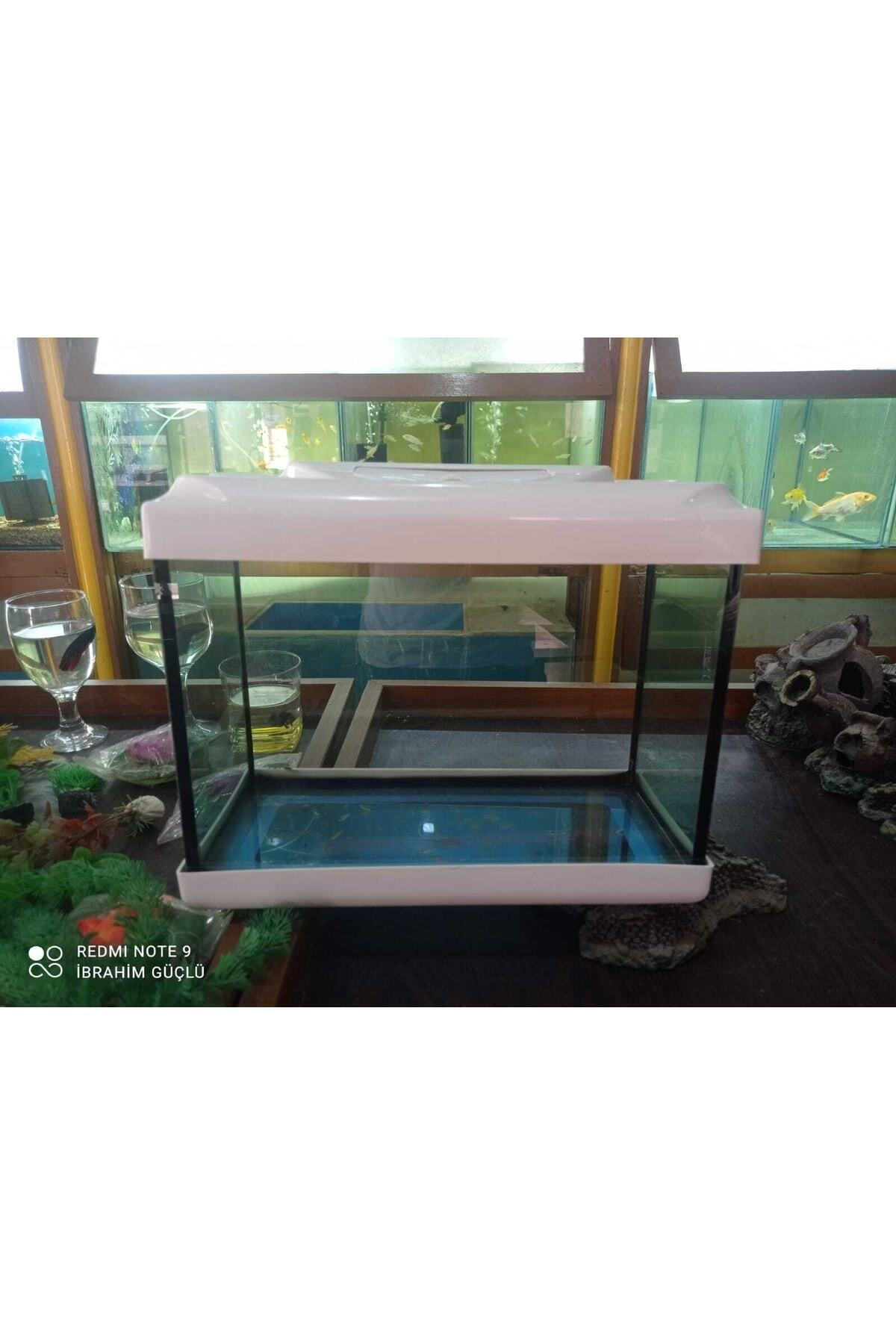 Ikizler Akvaryum 35cm Kırmızı Beyaz Sıyah Sarı Mavi