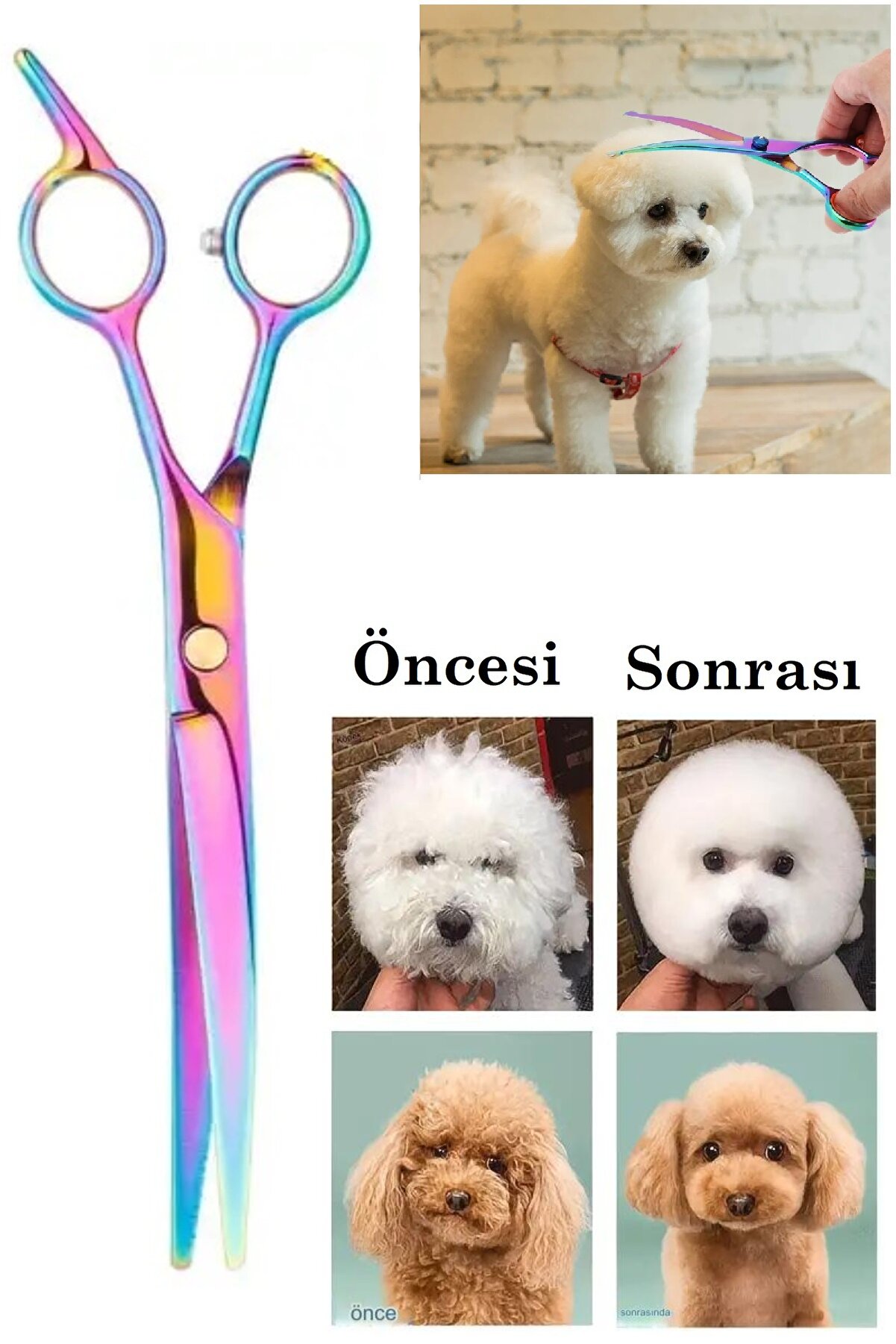 Kavisli Rainbow Petshop Kuaför Kedi Köpek Evcil Hayvan Makası Saç Şekil Verme Makası Xlq510