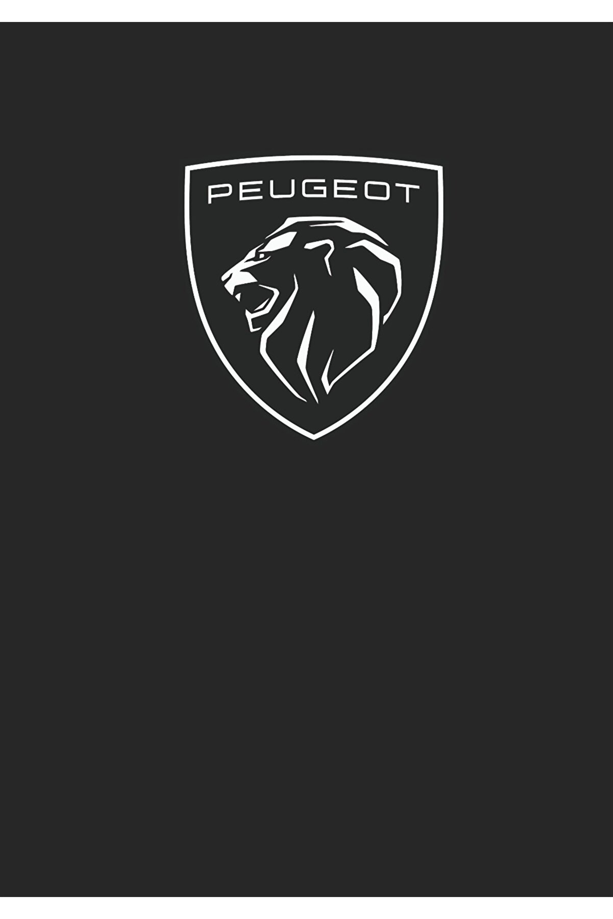 KAĞIT PASPAS OTO SUYA DAYANIKLI 50 ADET 35*50 EBAT KALIN KAĞIT