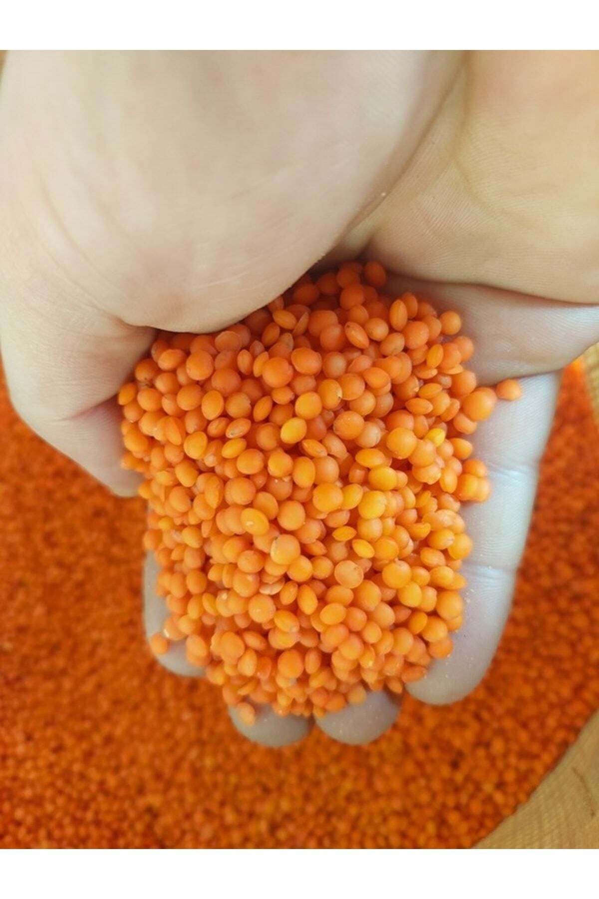 Kırmızı Mercimek 3 Kg ( Köy Mahsulu )