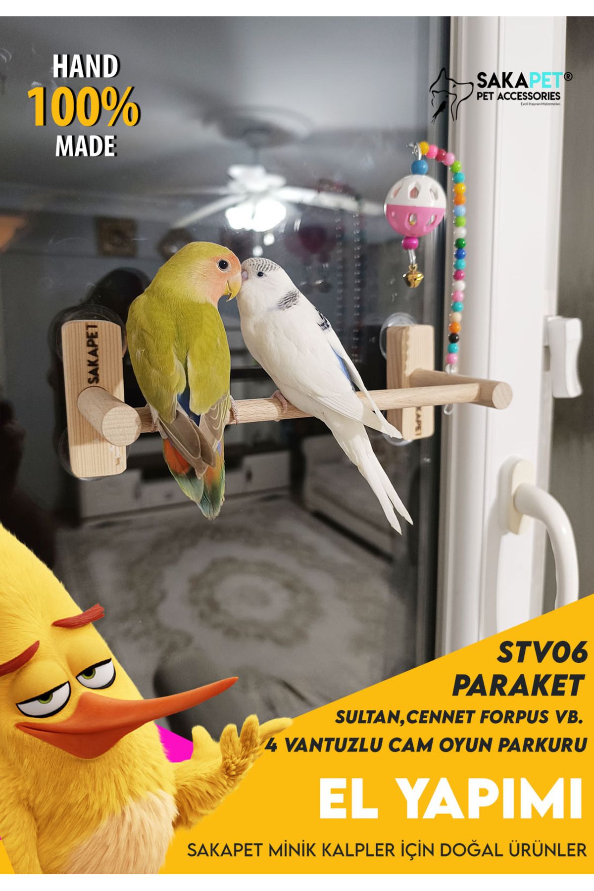 Vantuzlu Cam Oyun Parkı 4 Vantuzlu Cennet Forpus Muhabbet Kuşu
